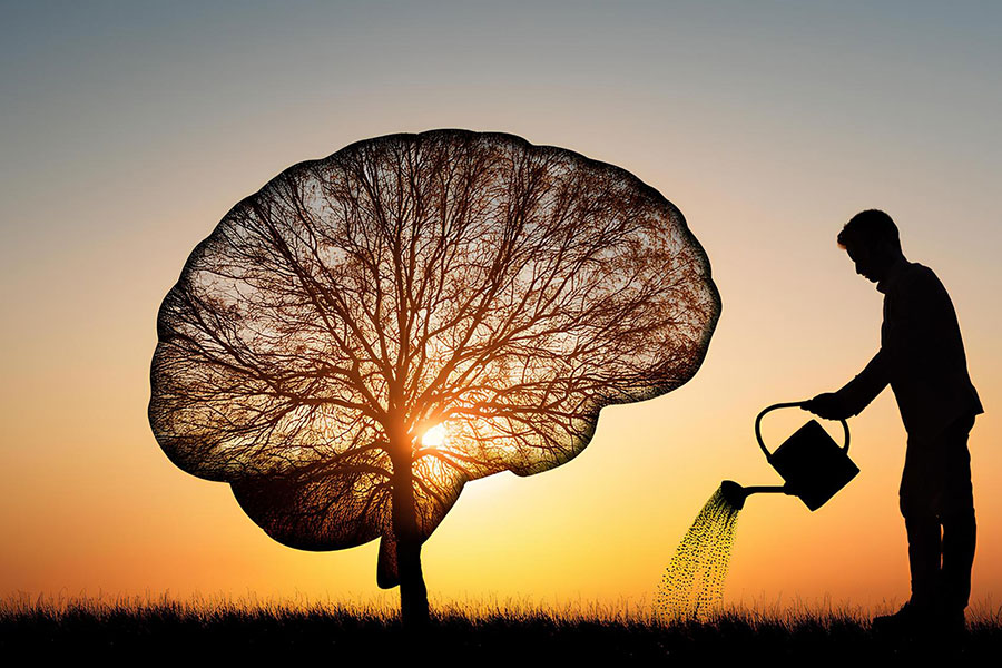 Psikolojik Dayanıklılık (Resilience) Nasıl Geliştirilir?