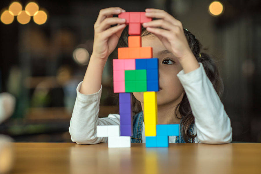 WISC-R (Wechsler Çocuklar için Zeka Ölçeği)